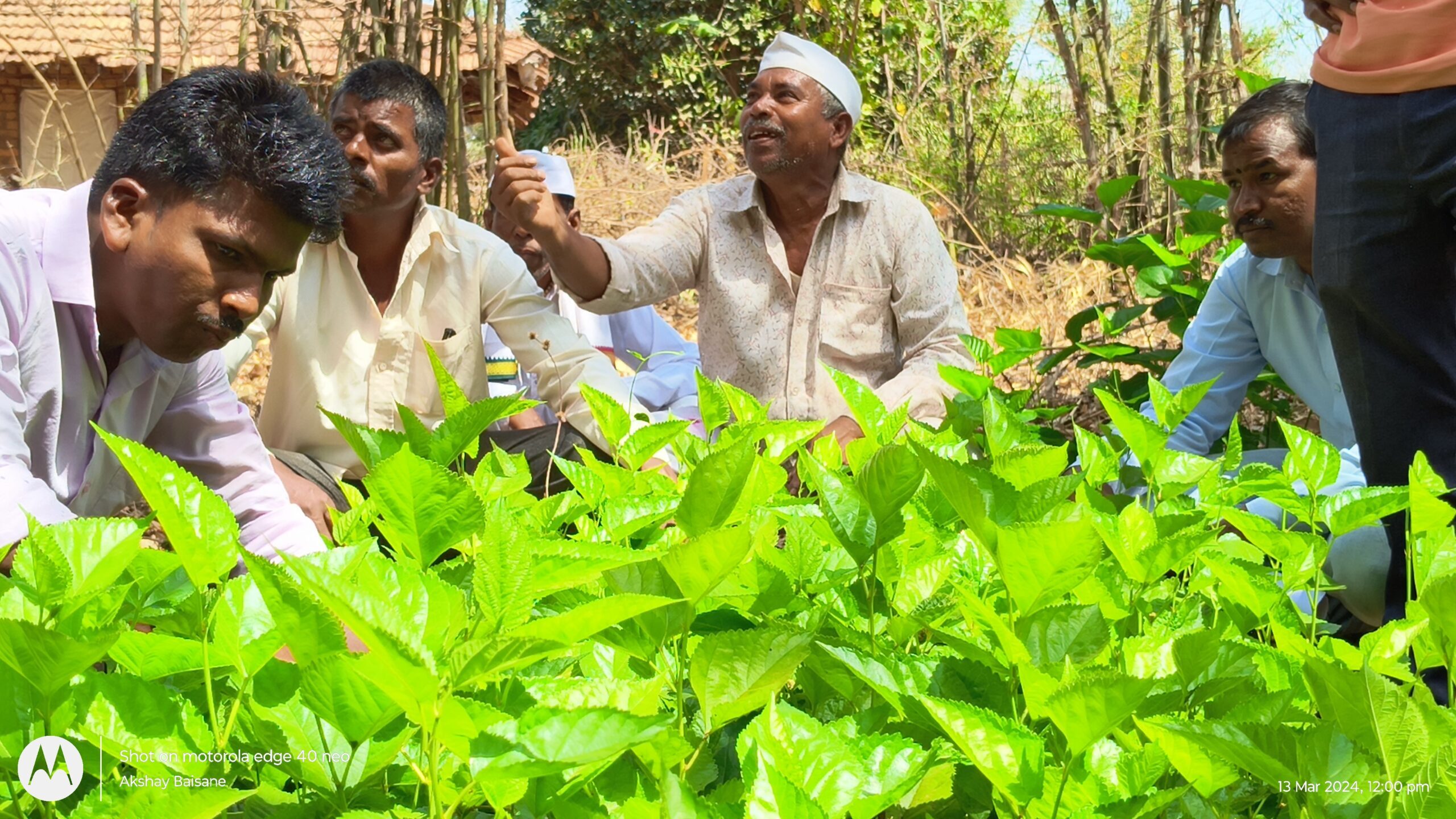 farmer smiles while learning about sericulture